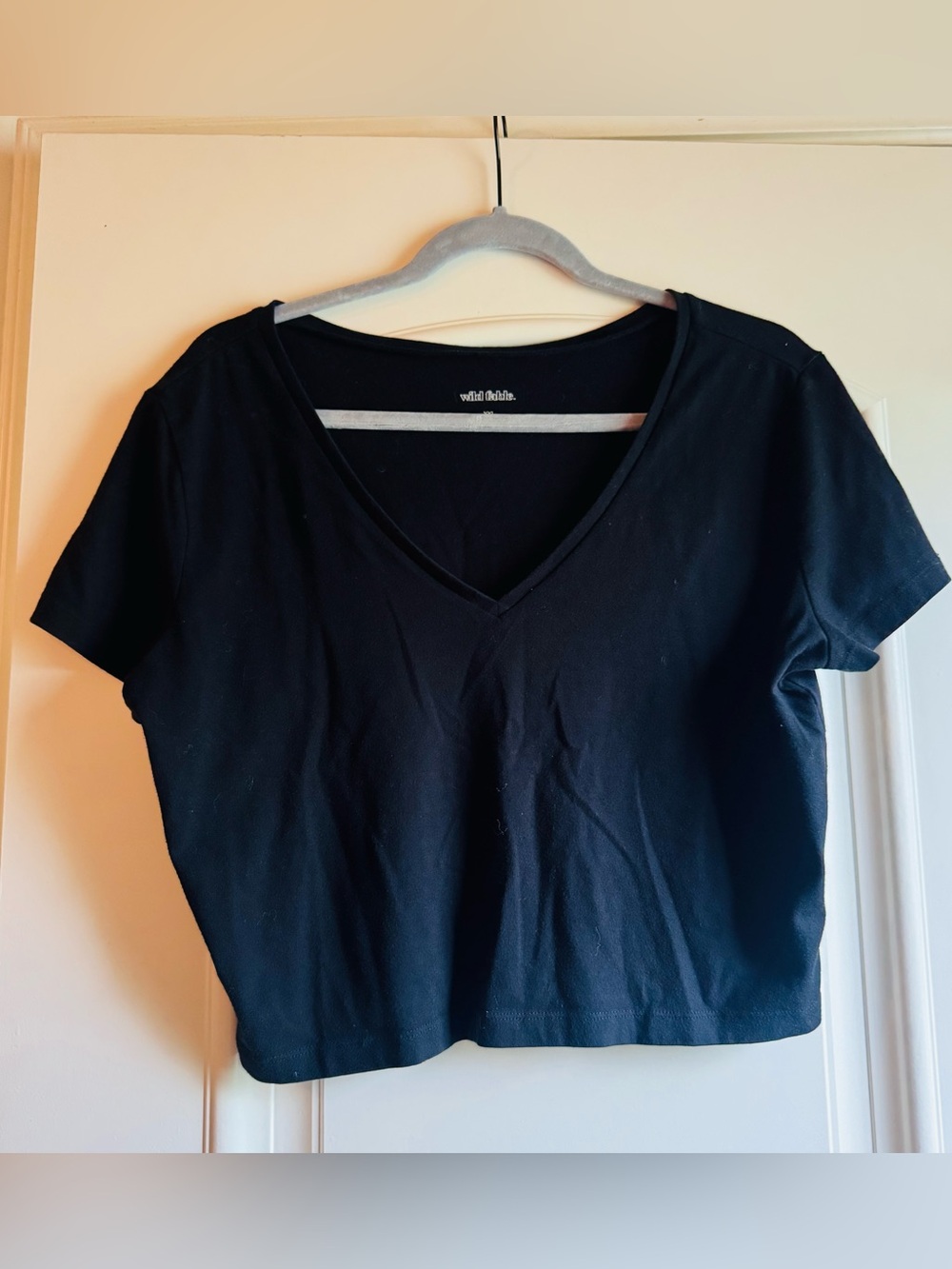 Black Ribbed V-Neck Crop Top